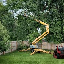 Best Hazardous Tree Removal  in Mcloud, OK