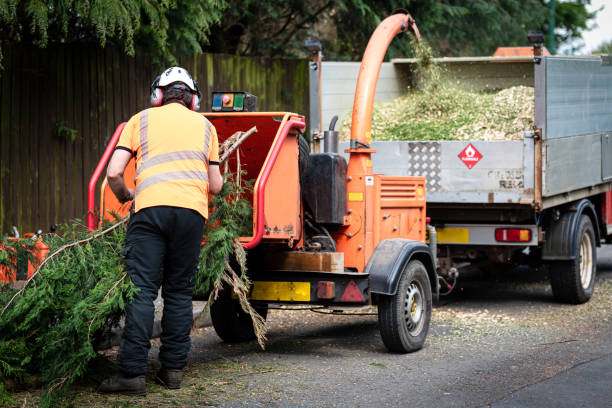 Best Lawn Watering Services  in Mcloud, OK