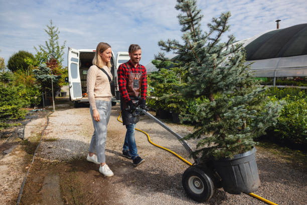 Best Fruit Tree Pruning  in Mcloud, OK